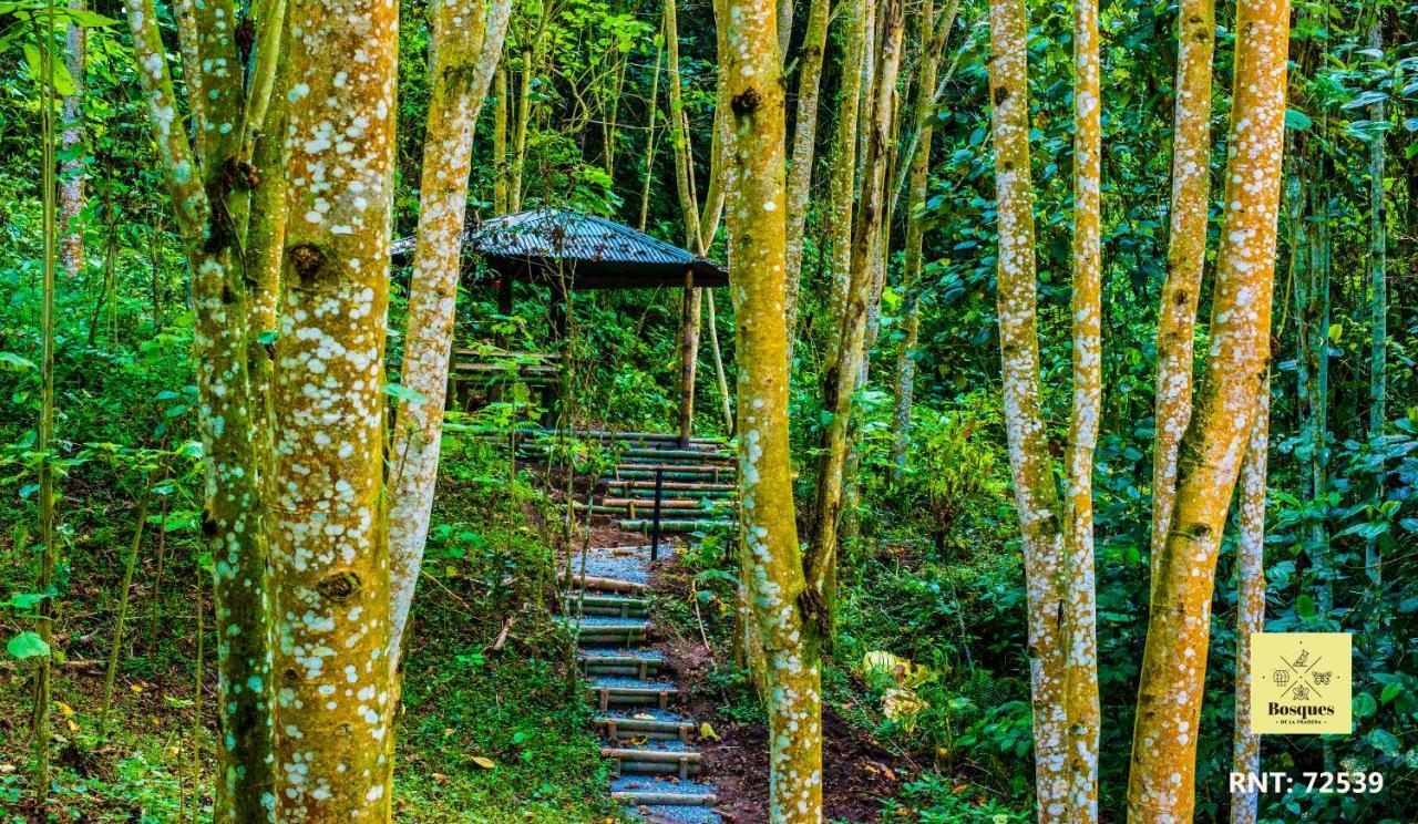 Bosques De La Pradera Hotel Manizales Exterior foto